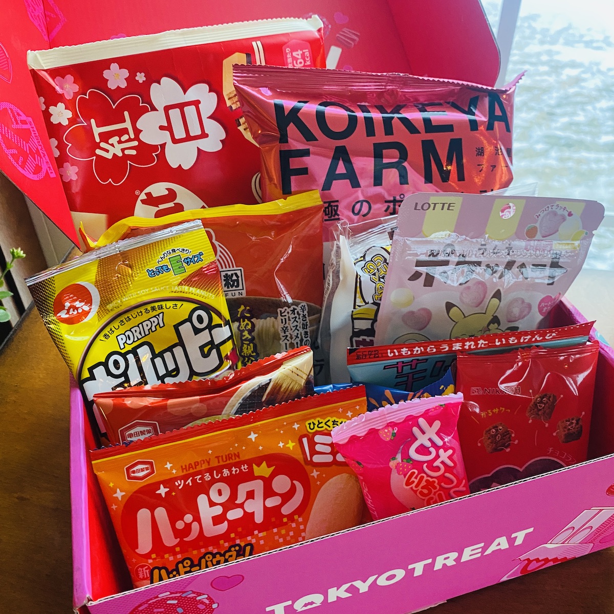 TokyoTreat Review – February 2025